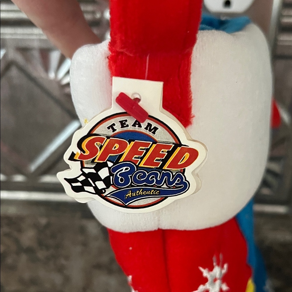 NASCAR Collector Jeff Gordon Racing Stocking - Picture 3 of 4